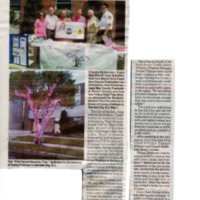 Sea Isle City Dedicates Pink Remembrance Tree