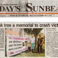 Pink Tree a Memorial to Crash Victims